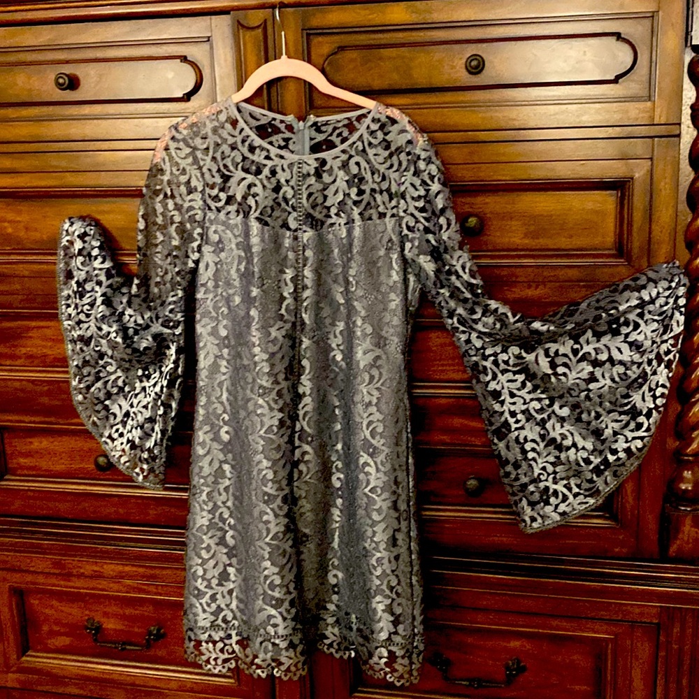 Silver Gray Lace Dress size 6